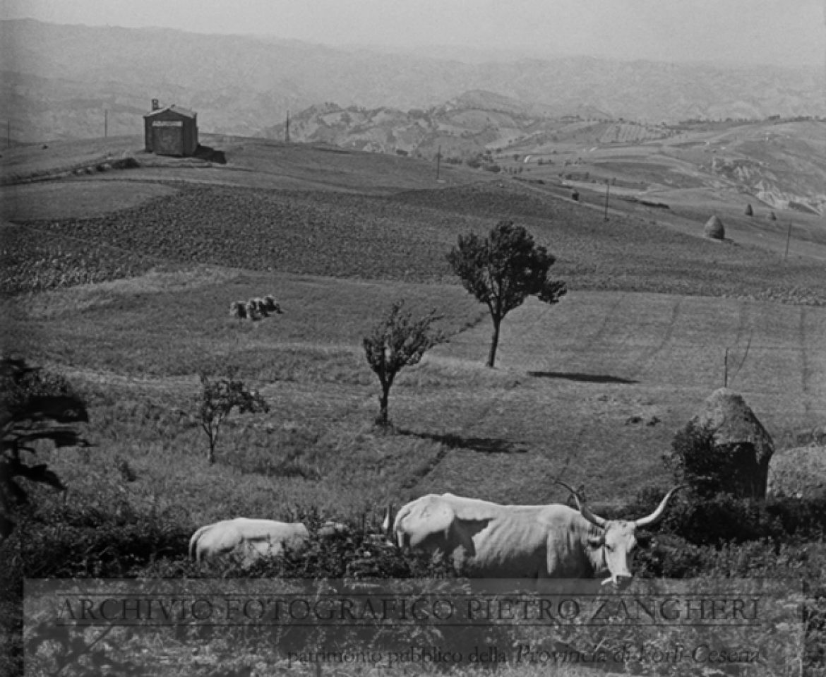 Sant’Agata Feltria (Sant’Agata Feltria) – Data scatto: 07-08-38 (Negativo n. 873) – Didascalia: